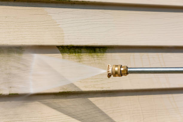 Best Pressure Washing Services Near Me  in Kahului, HI